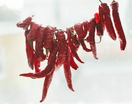 Red chili peppers hanging on the rope on white background, copy spaceの写真素材