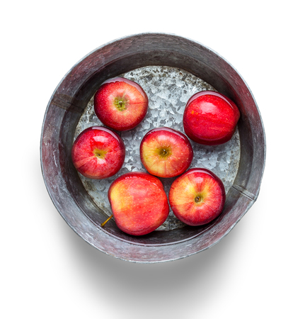 Metal bucket with red ripe autumn apples isolated on white background, top view. Seasonal fruit gathering, fall harvest, agriculture and farming concept, copy spaceの写真素材