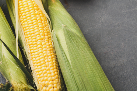 Corn closeup texture and background, copy space. Natural pattern. Healthy organic food concept