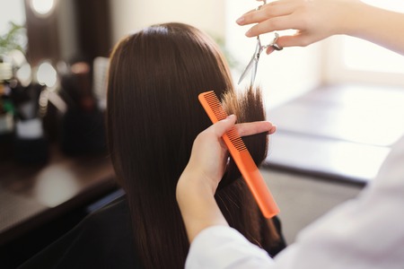 Hairdresser trimming long brown hair with scissors in beauty salonの写真素材