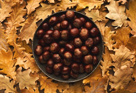 Chestnuts on plate on yellow oak backgound, top view. Autumn, fall, food, nuts, nature conceptの写真素材