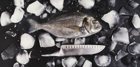Raw dorado with ice and knife on black background. Minimalistic mockup for seafood restaurant or fish market. Top view, copy spaceの写真素材