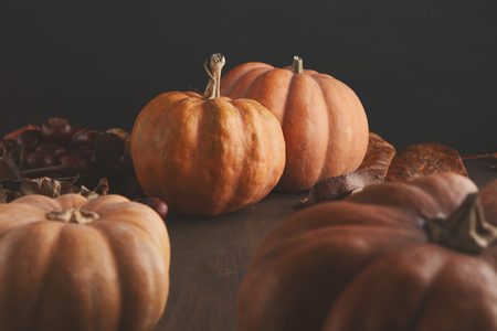 Beautiful pumpkins with leaves and chestnuts on black background with copy space for text. Cozy autumn mood, fall, holiday, halloween or thanksgiving conceptの写真素材