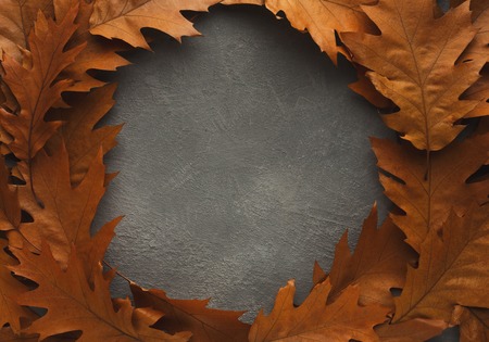 Frame of brown oak leaves on grey stone background with copy space. Autumn, fall, nature concept