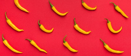 Spicy minimalistic panorama. Hot yellow chilli peppers on red background