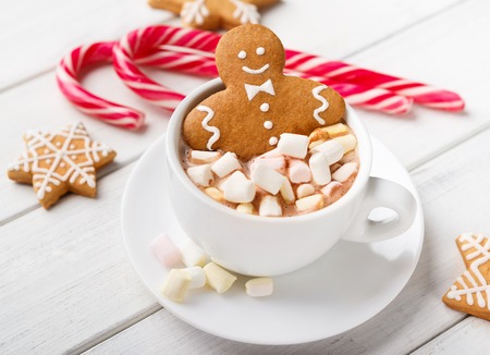 Gingerbread man in Christmas hot chocolate cup and candy canes on white backgroundの写真素材