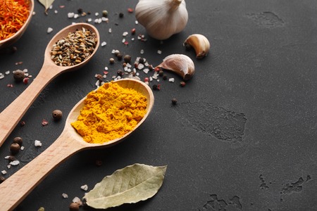Spices in spoons. Turmeric, salt, bay leaves and garlic on dark table with copy spaceの写真素材