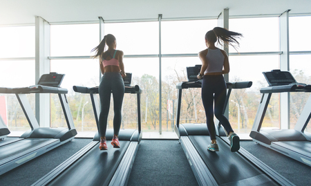 Sports people running on treadmills, looking out the window in gym, back viewの写真素材