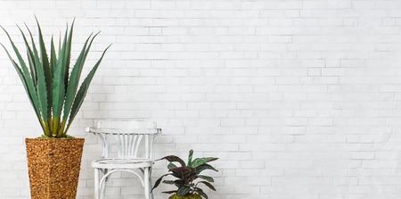Big aloe and chair over white brick wall with free spaceの写真素材