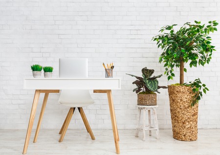 Workplace in scandinavian style. Table and various plants nearby over white brick wallの写真素材