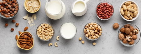 Bowls with various nuts and jars with milk top view. Vegan nut milk concept, panoramaの写真素材