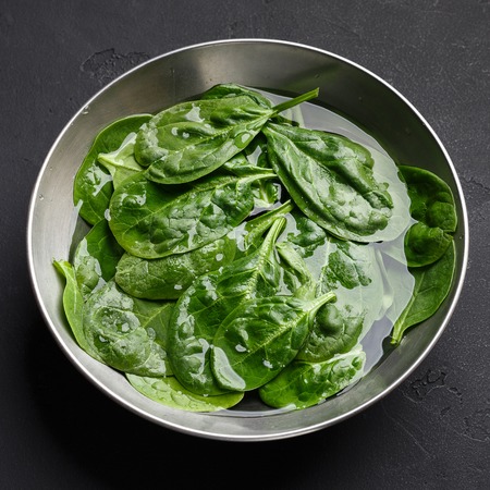 Fresh basil leaves in metal bowl with water, grey table, closeupの写真素材