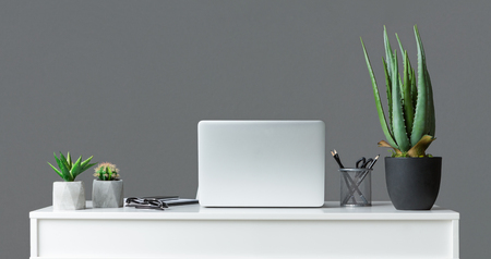 Laptop computer and succulent plants over grey background, cropの写真素材