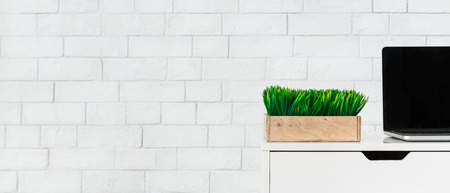 Laptop and box with green graas on desk at white brick wall background, copy space. Eco design of workplace conceptの写真素材