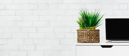 Laptop and pot with home plants composition on desk at white brick wall background, copy space. Green decor on working place conceptの写真素材