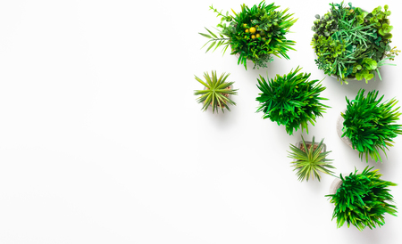 Various green plants in pots on white background with copy space, top viewの写真素材