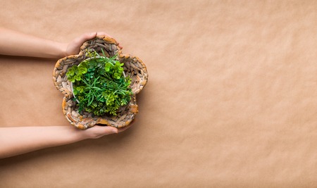 Woman holding unusual pot with artificial plant on craft paper background with free spaceの写真素材