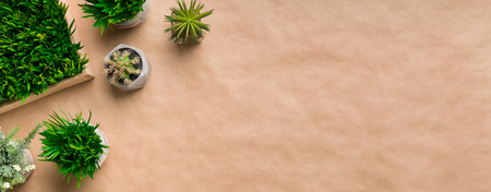 Various plants in pots on craft paper background with free space, top viewの写真素材