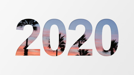 2020 year number over palm trees background