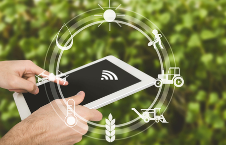 Concept of modern smart farming by using electronics, technology and mobile apps in agricultural production. Man with digital tablet in fieldの写真素材