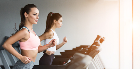 Training together. Women doing cardio workout, running on treadmill in gym, copy spaceの写真素材