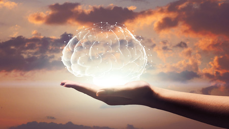 Human brain hologram on female palm, sunset sky background, free space