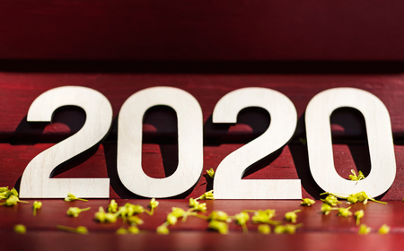 Big 2020 wooden numbers laying on bright summer background with tiny yellow flowers, copy spaceの写真素材
