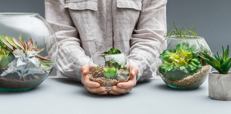 Woman holding glass florarium with mini succulent garden and two florarium vases at table. Professional florist conceptの写真素材