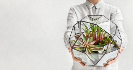 Woman holding mini succulent garden in geometric glass florarium vase, copy space. Gardening service conceptの写真素材