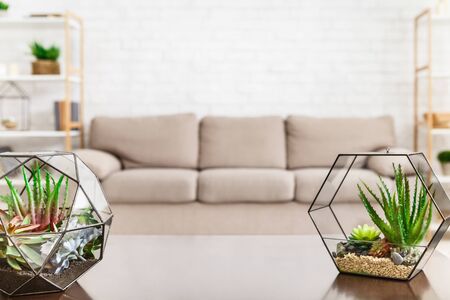 Living room with botanical interior decor, copy space. Scandinavian interior concept