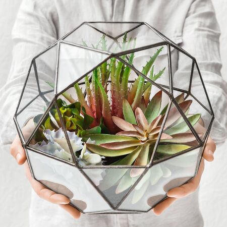 Woman holding mini succulent garden in geometric glass florarium vase. Gardening service concept