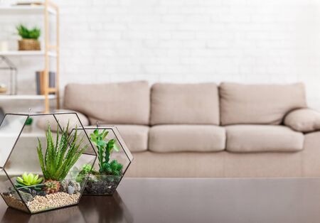 Living room with glass florariums, copy space. Scandinavian interior conceptの写真素材