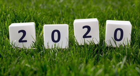 Close up of whte blocks with black 2020 text on green grass, panorama, copy space