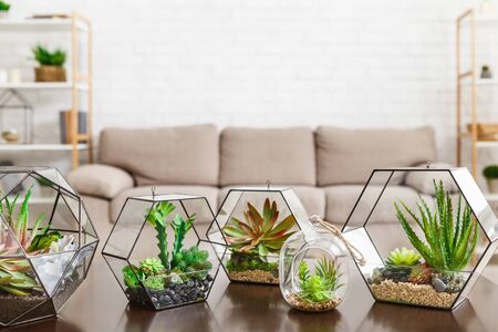 Living room with green interior decor, copy space. Modern interior conceptの写真素材