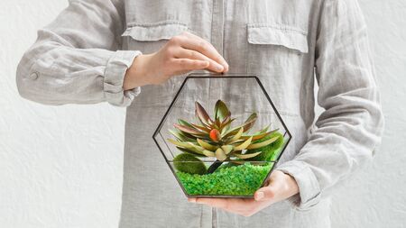 Woman holding geometric florarium vase with mini succulent plants . Professional florists service...