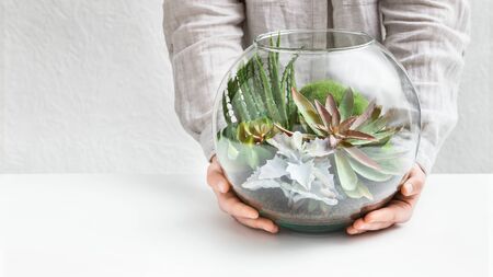 Womans hands holding mini succulent garden in glass round vase., copy space