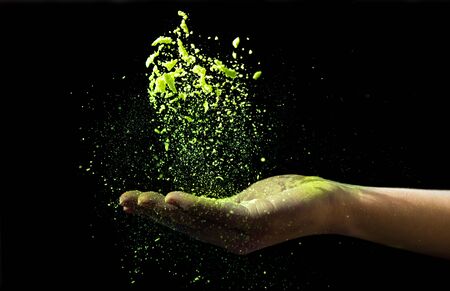 Yellow holi powder dropped in woman hand on black background, panorama, copy spaceの写真素材