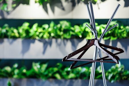 Cafe interior. Metallic stand with empty Hanger for clothes in natural cafe interior with green plants on the wallの写真素材