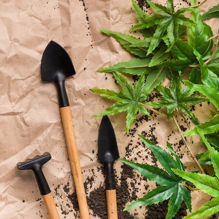 Mini gardening tools and canabis leaves on rumpled craft paper, top view
