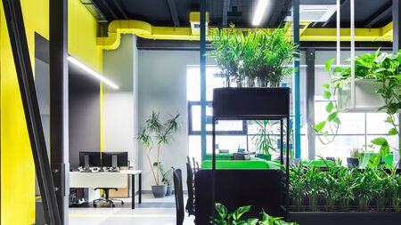 Natural interior concept. Open space in loft style for workers in modern office, panoramaの写真素材