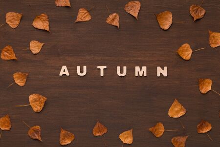 Hello autumn concept. Brown dead leaves on wooden background with textの写真素材