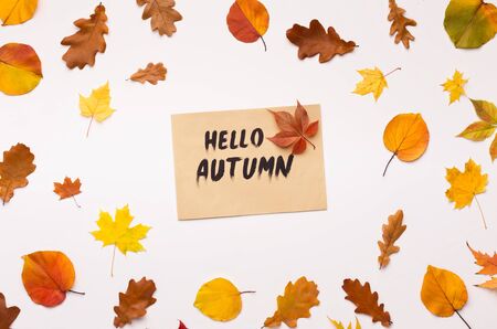 Hello autumn text. Creative flat lay of dead colored leaves on white background with textの写真素材