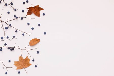 Creative dry tree with yellowed leaves on white background with copy space