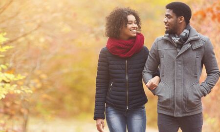 Romantic african american couple walking through autumn park, talking and enjoying date, free space
