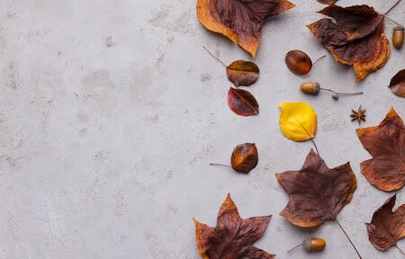 Be yourself concept. Fallen autumn leaves on gray background with copy space for advertisement