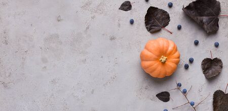 Pumpkin with dark dead leaves on background for halloween concept, panorama, copy spaceの写真素材