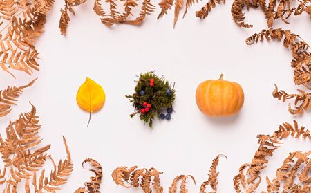 Thanksgiving autumn background. Creative composition of autumn symbols on white background with leavesの写真素材