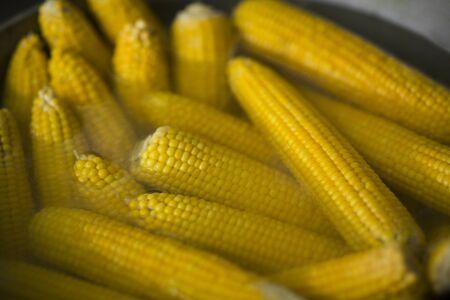 Food to go. Tasty and freshly cooked corn in big bowl outdoor for saleの写真素材