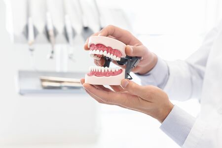 Orthodontology and prosthetics concept. Hands of male dentist showing plastic jaw model, close up,...