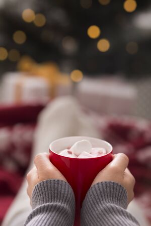 Woman holding a cup of chocolate with marshmallow over Christmas blurred background, vertical panorama, copy spaceの写真素材